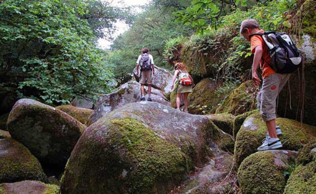 Yec'Hed Mat Bed & Breakfast Saint-Nicolas-du-Pelem Ngoại thất bức ảnh